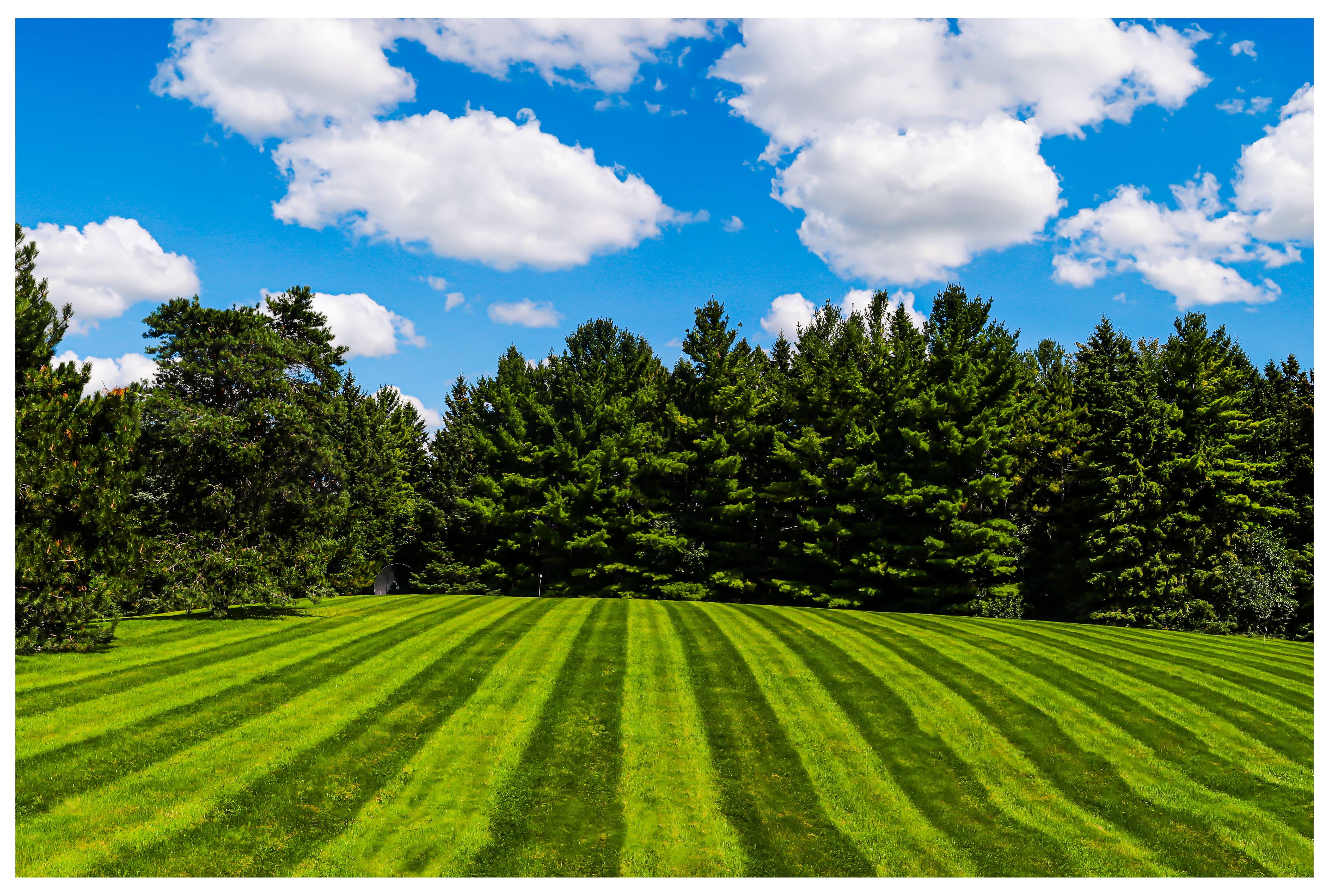 白云绿野觅仙踪