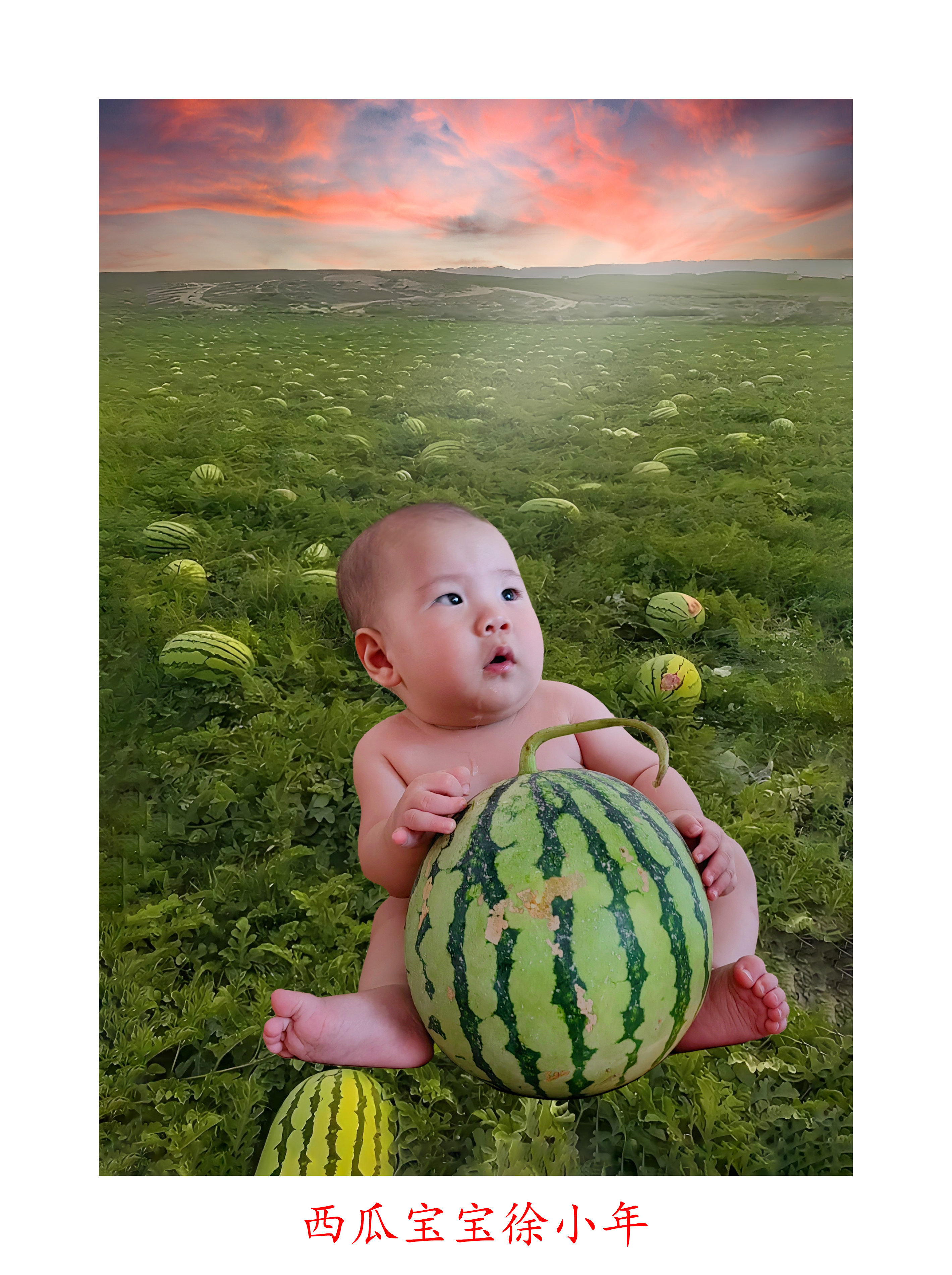 西瓜宝宝