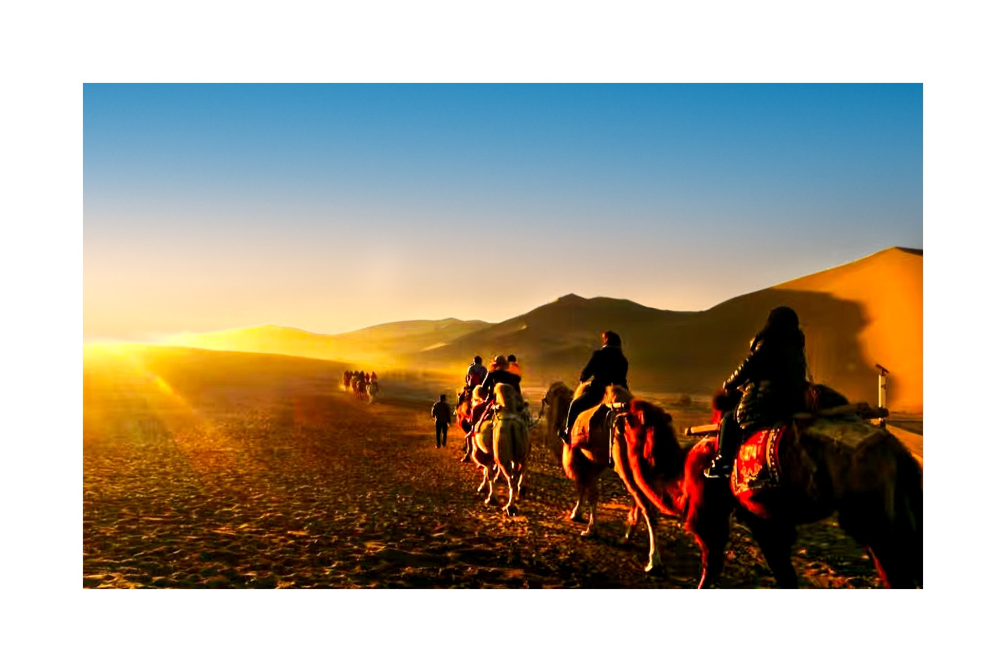 日出染沙，驼队绘梦