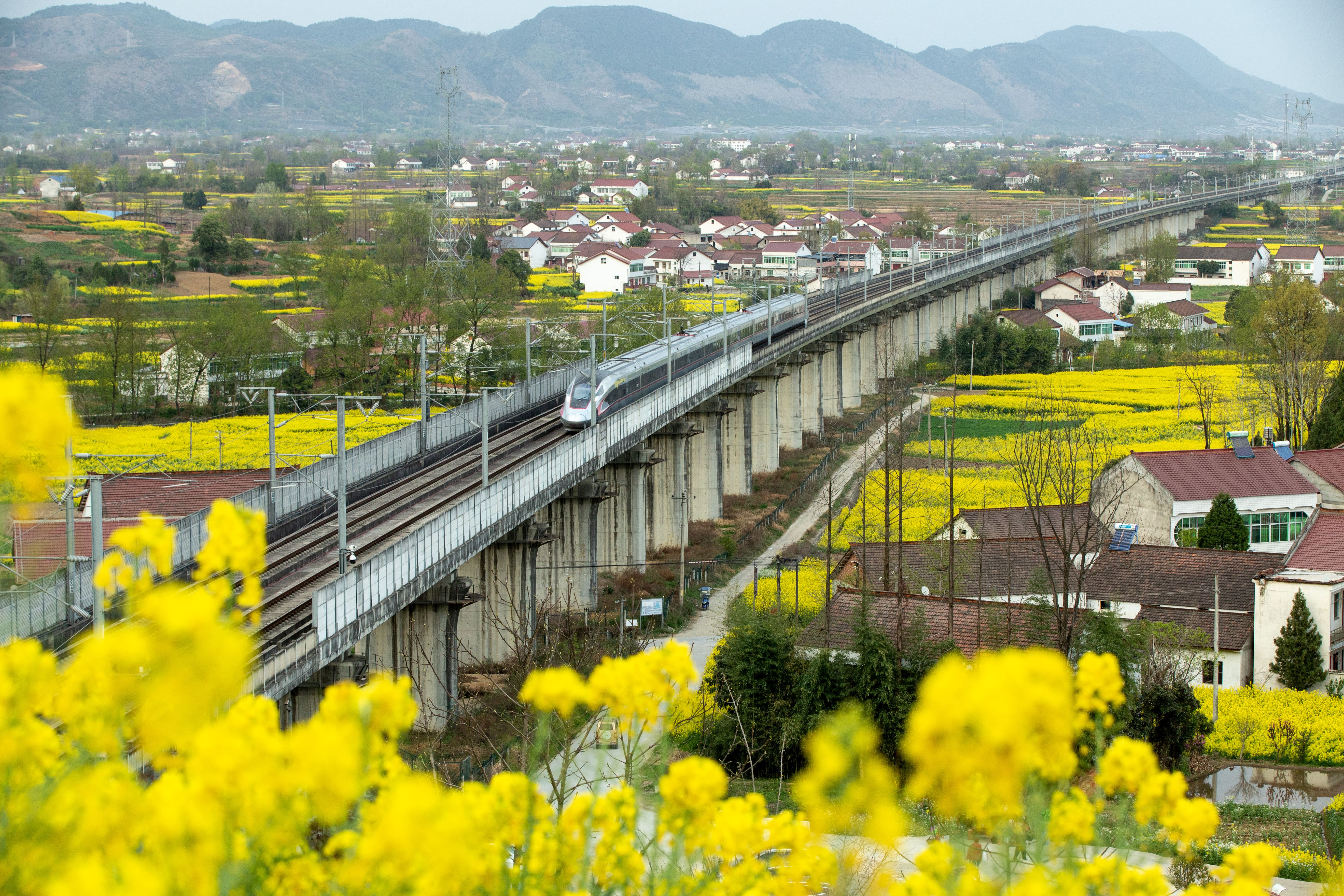 驶向春光里的列车