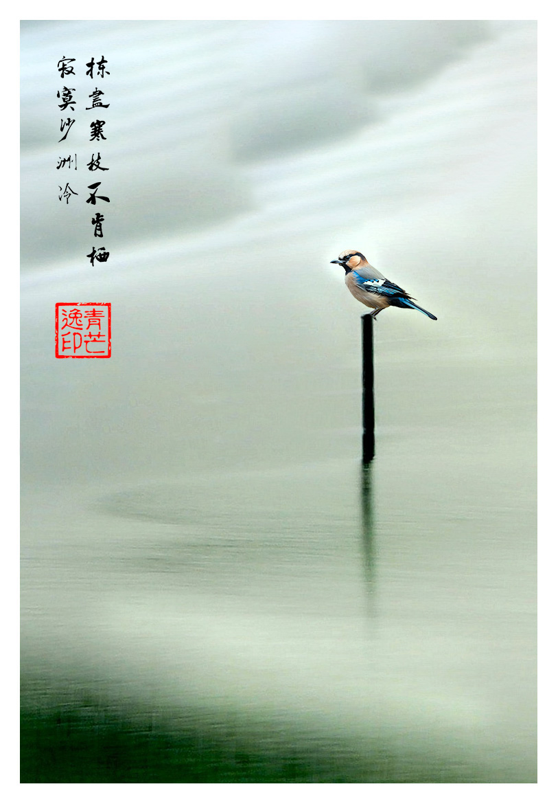 《坚守》