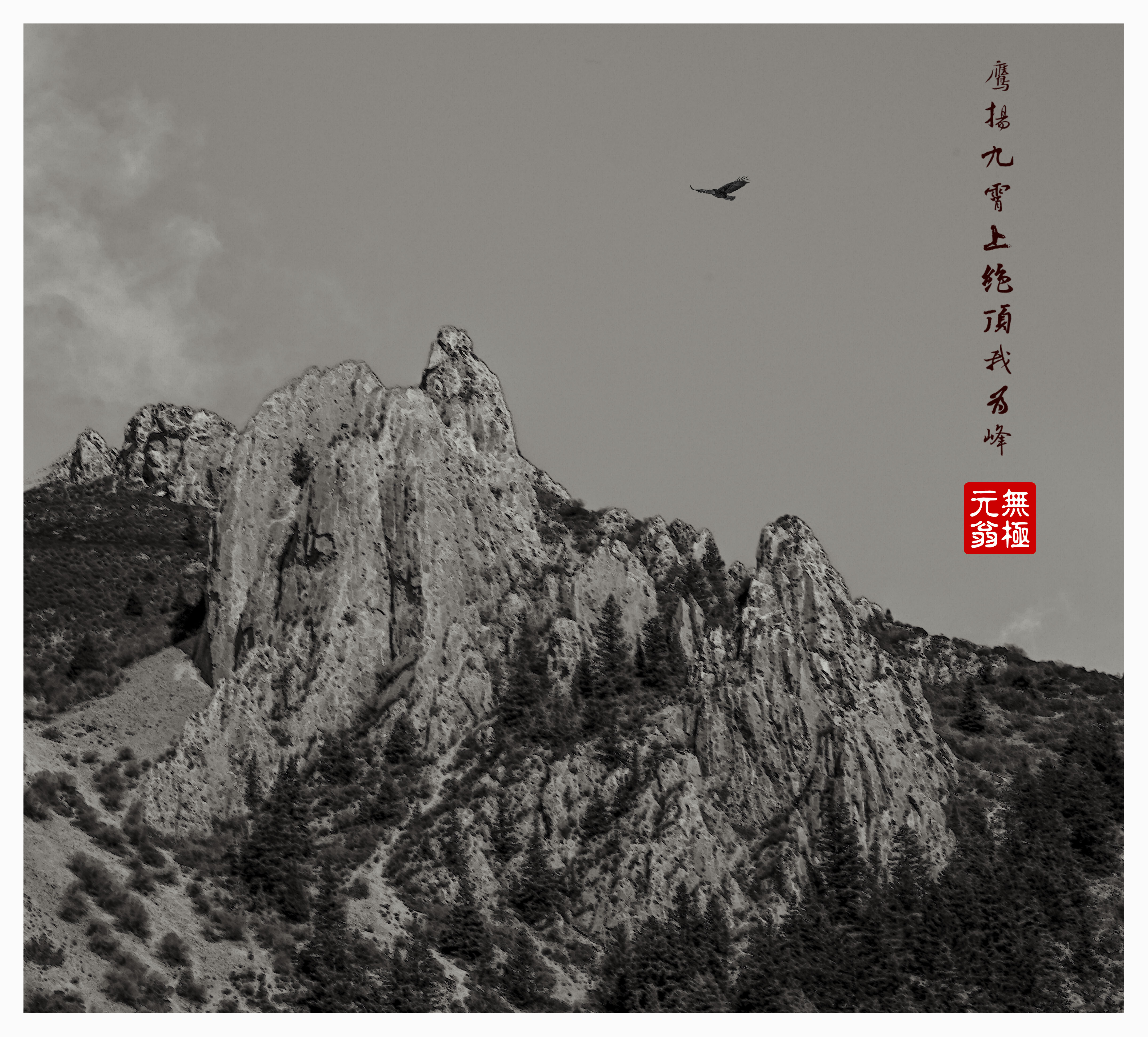 《遨巡》