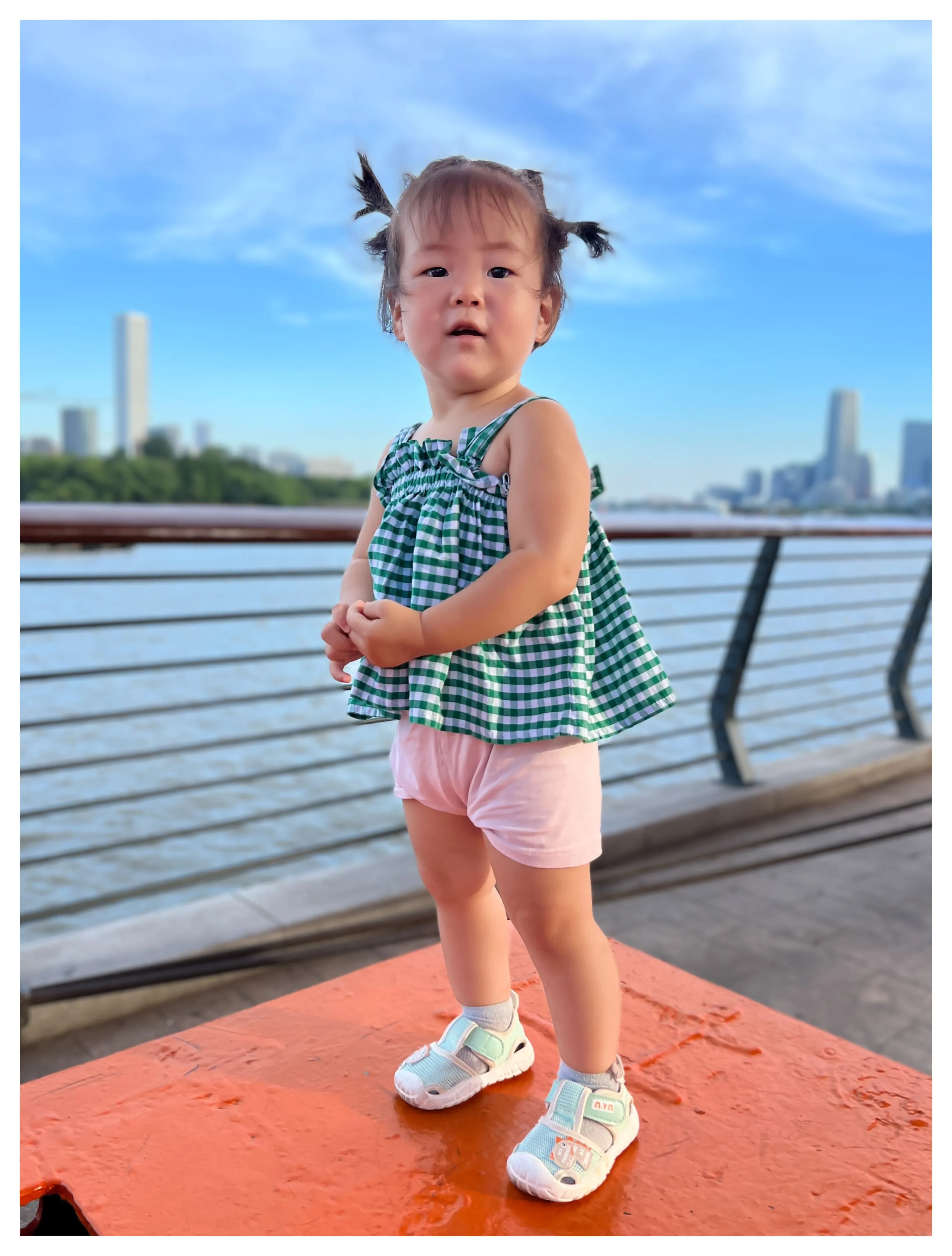 岸