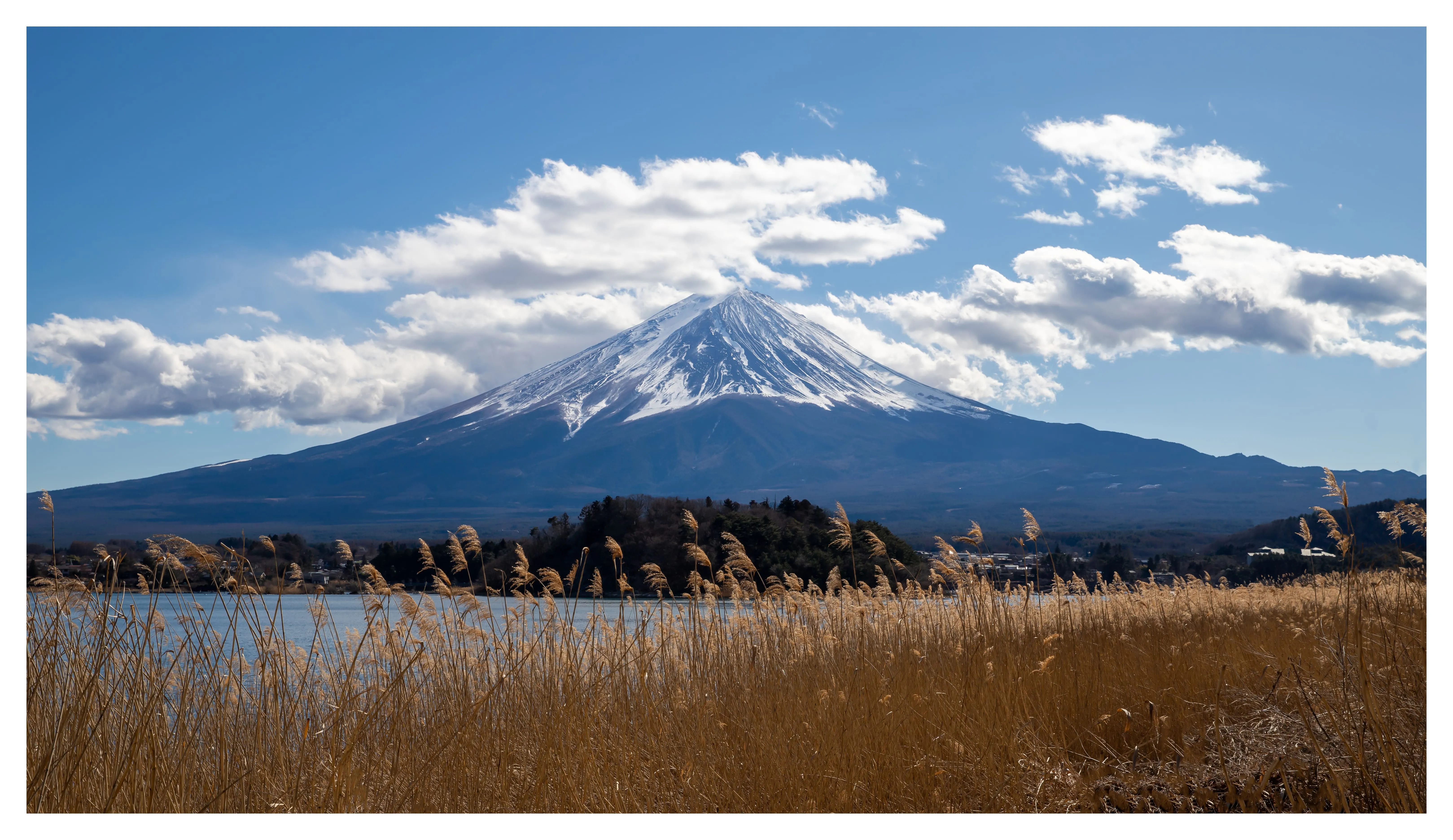 雪岳伴金芒