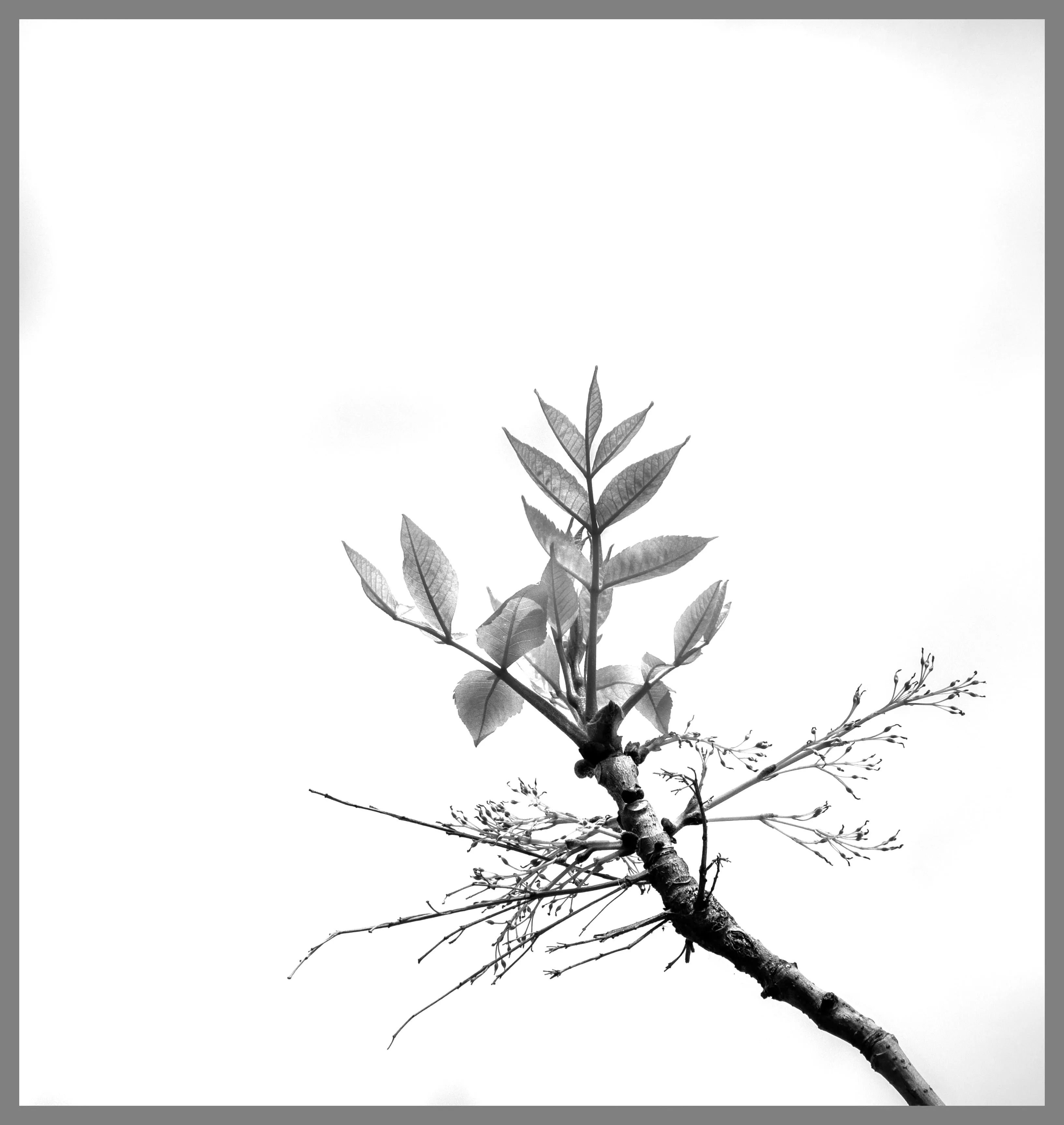 向空